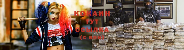 тгк Алексин