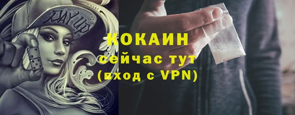 тгк Алексин