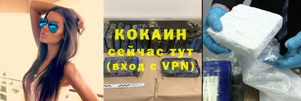 тгк Алексин