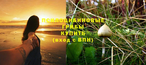 тгк Алексин