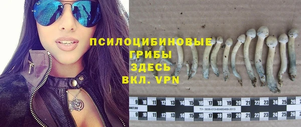 тгк Алексин