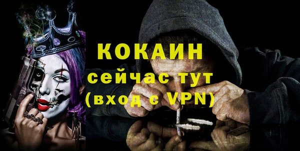 кокс Алексеевка