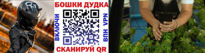 где можно купить   Миньяр  Бошки Шишки SATIVA & INDICA 
